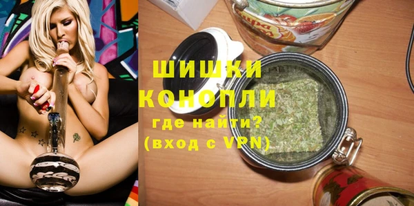 прущие грибы Медвежьегорск