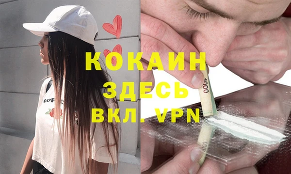 крисы Армянск
