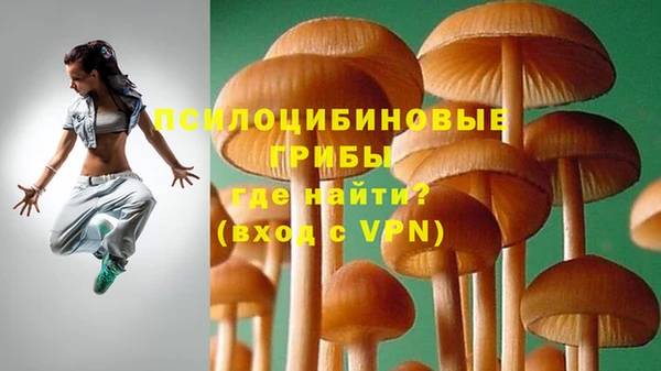 кокс Алзамай