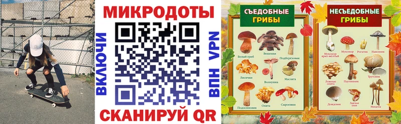 Галлюциногенные грибы мухоморы  Александровское 